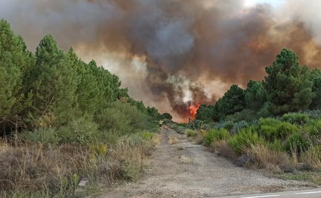 La Junta declara la situación de alerta de incendios forestales este lunes por riesgo meteorológico en Salamanca, Zamora y Valladolid