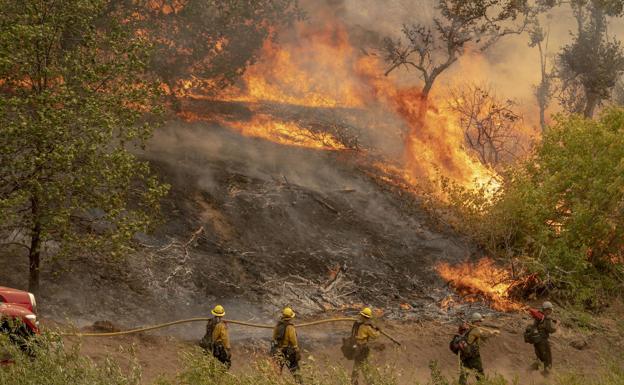 Los incendios en el oeste de EE UU queman más de 800.000 hectáreas
