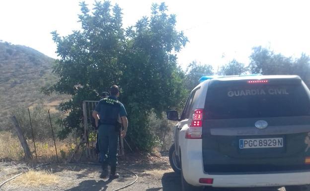 Al menos 12 detenidos y más de 1.200 plantas de marihuana incautadas en Miñambres de la Valduerna y Foncebadón