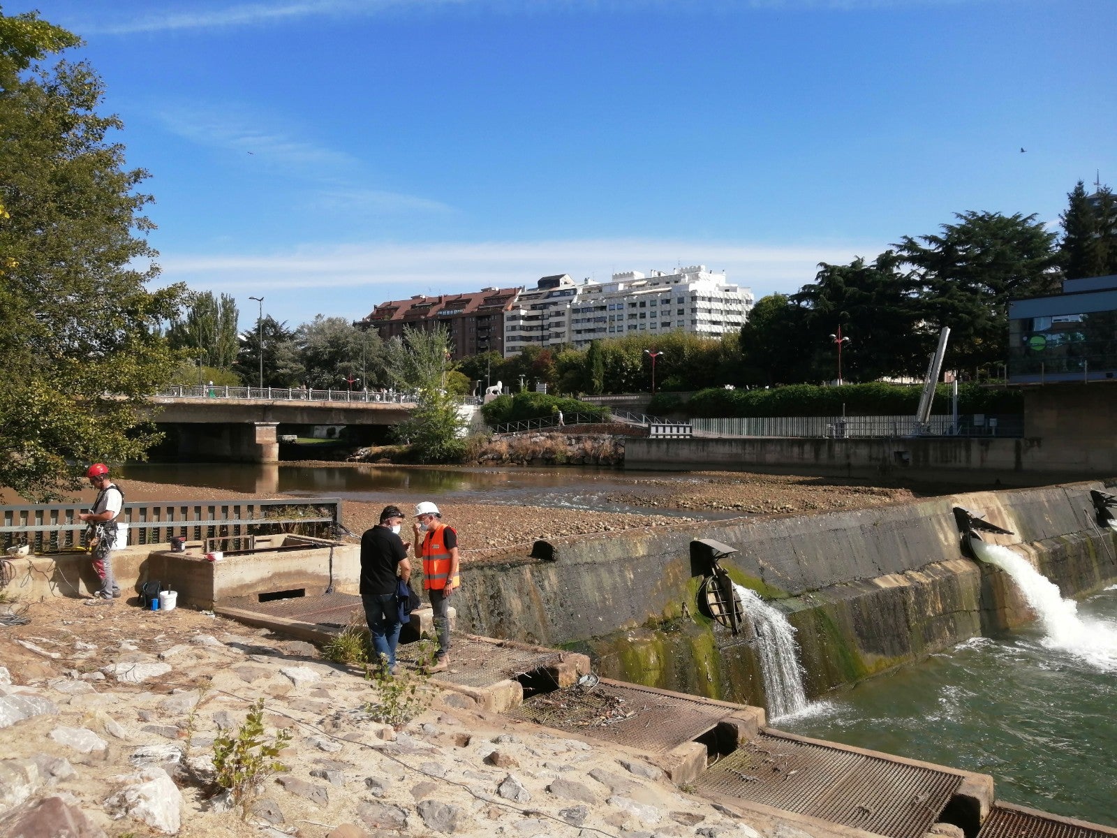 Trabajos de la CHD en el río Bernesga en León