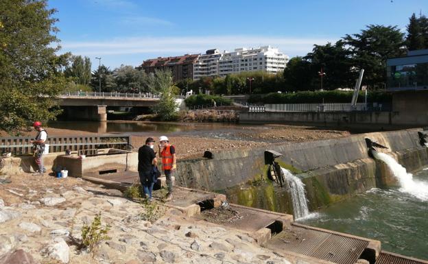 La CHD trabaja con especialistas en la limpieza y revisión del Bernesga en el puente de los leones