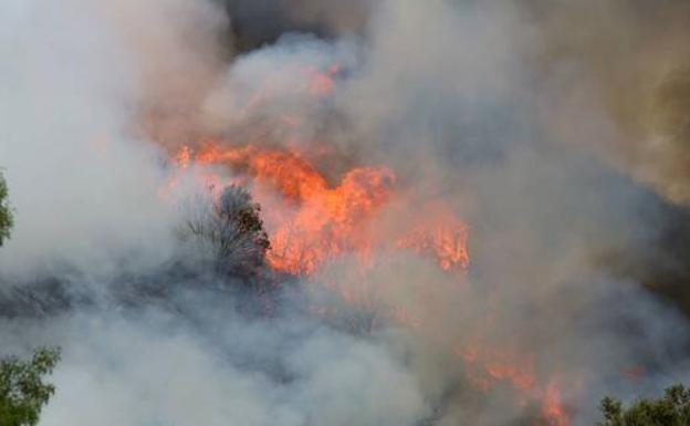 Un helicóptero y varios medios terrestres controlan un incendio en Vallecillo