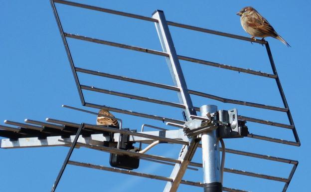 El Gobierno recuerda que el plazo para adaptar las antenas colectivas de TDT acaba el 30 de septiembre