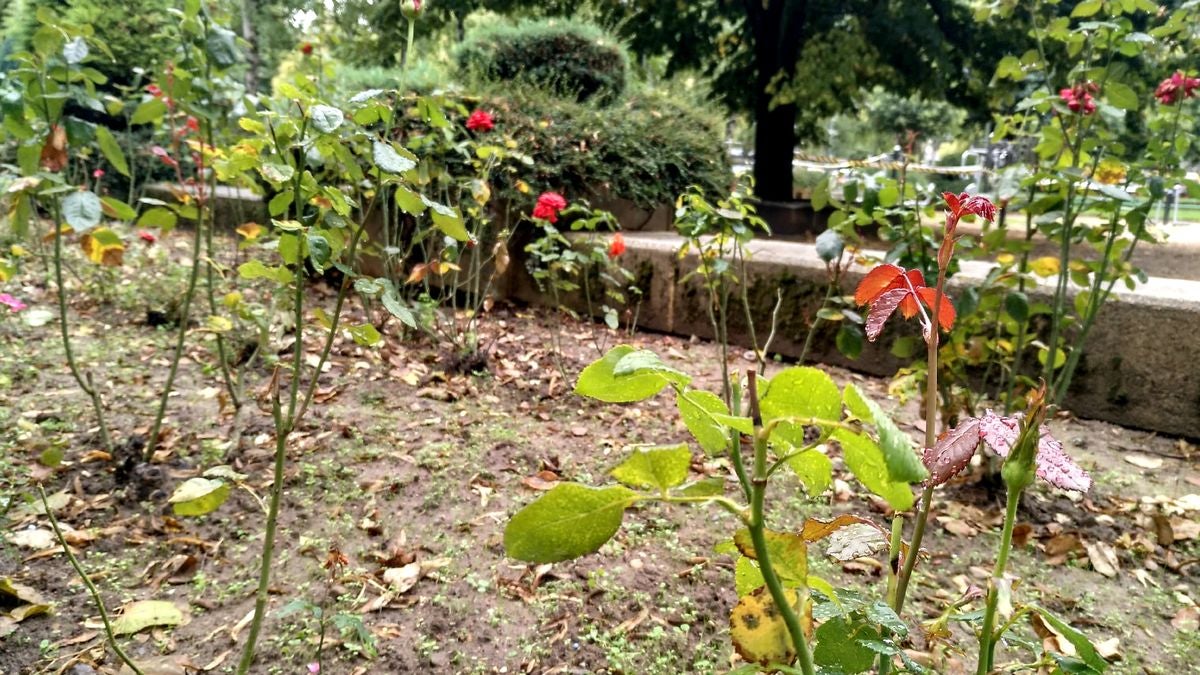 El otoño llega el martes