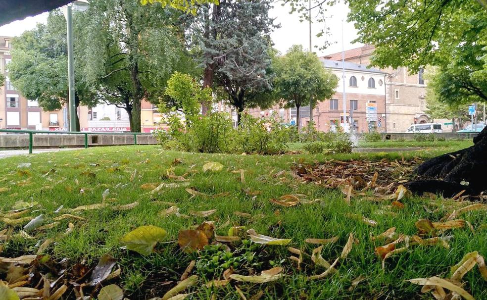El otoño llega el martes a las 15:31 horas