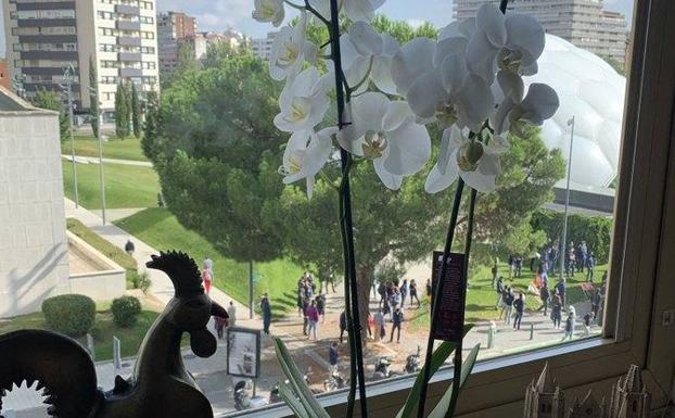 Carlota Amigo presume de flores en Twitter con la protesta de los trabajadores de Aciturri de fondo