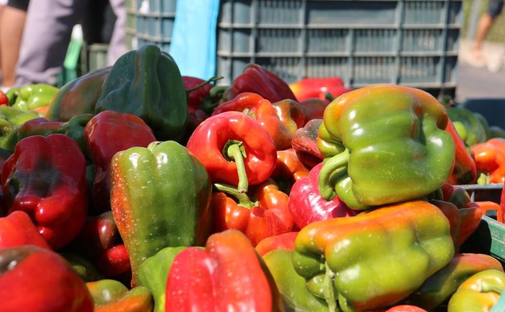 Fresno de la Vega, sin feria pero con los mejores pimientos