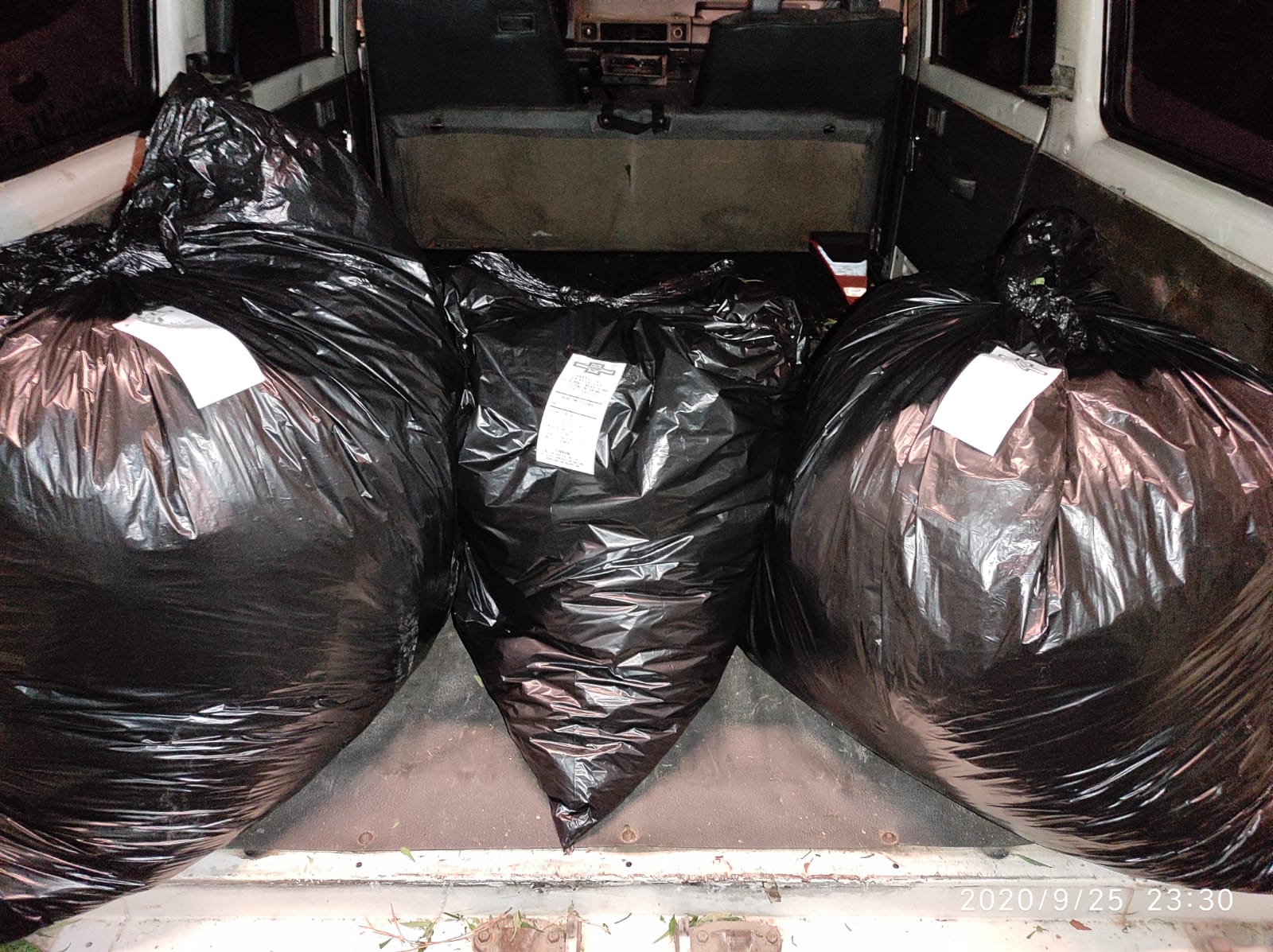 Detenido en Bárcena del Bierzo por cultivar ocho plantas de marihuana en un invernadero