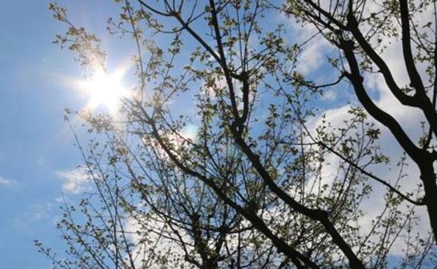 El veranillo de San Miguel deja máximas de 25 grados en León antes del desplome de este viernes