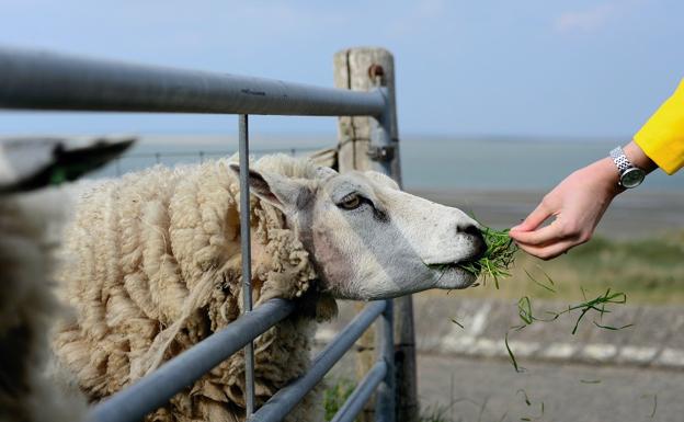 La afiliación a la Seguridad Social aumenta en 131 personas en León durante el mes de septiembre