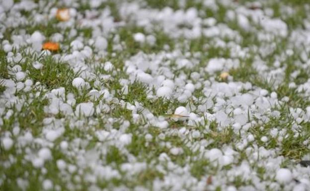 Agroseguro abona 1,5 millones a viticultores de Castilla y León por los daños a 3.452 hectáreas de viñedo dañadas