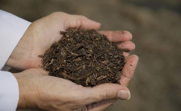 El Ayuntamiento de León lanza una campaña para fomentar el compostaje entre los escolares de Primaria