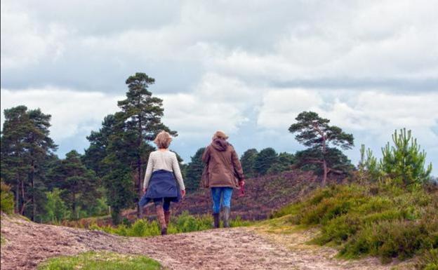 Asaja pide que la covid no paralice los proyectos empresariales de las mujeres en el mundo rural