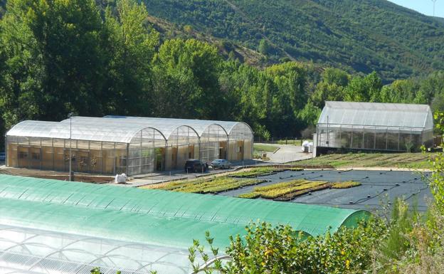 Ciuden Vivero impartirá un nuevo programa formativo de gestión forestal