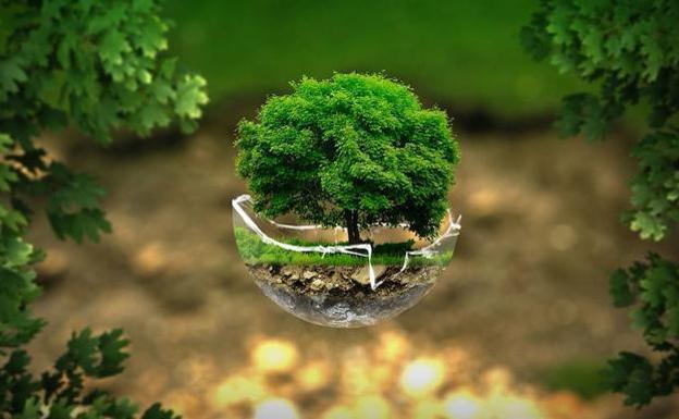 Castilla y León recibe 1,5 millones para la gestión de residuos, adaptación al cambio climático y la biodiversidad