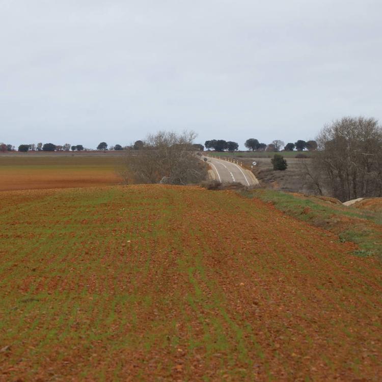 La covid induce las peores exportaciones de la automoción y el agro toma su relevo en abril y agosto