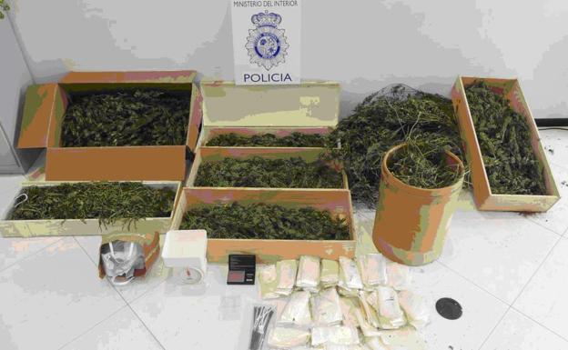 Detenido un varón de 47 años en San Andrés del Rabanedo por una plantación indoor de marihuana