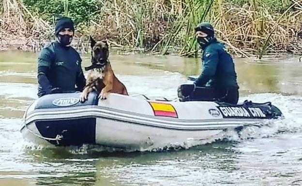 Perros de búsqueda subacuática se unen a los trabajos para localizar a la anciana desaparecida en Valderas