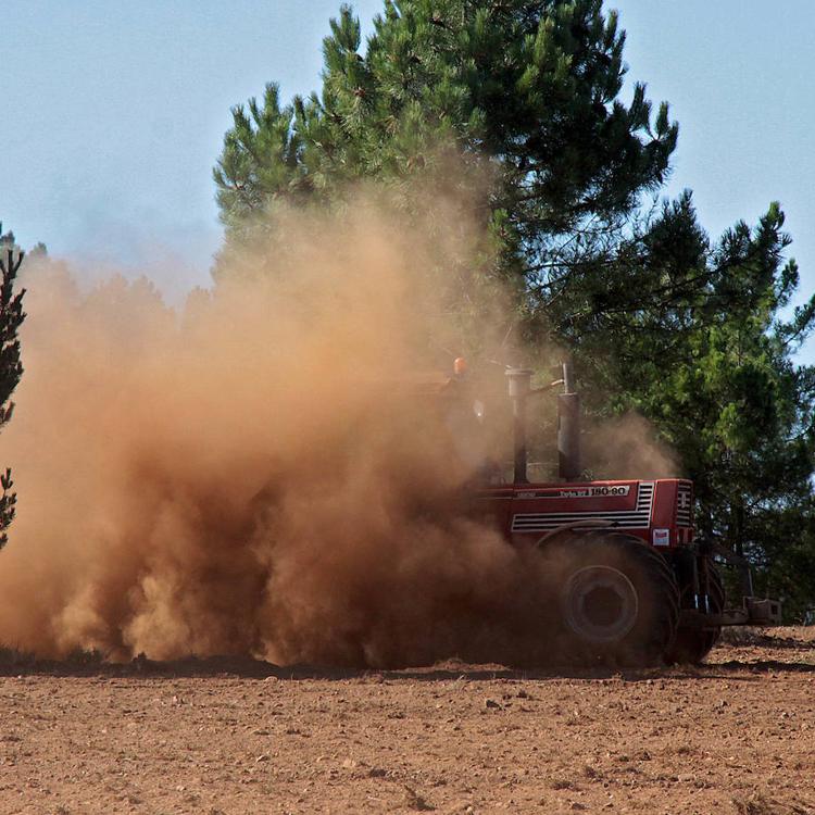 El campo augura que los datos económicos de este año mejorarán los de 2019 por el buen comportamiento del sector