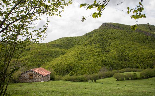 Los agrónomos sugieren que la Junta favorezca las actividades compatibles con los espacios naturales, como la ganadería o la industria artesanal