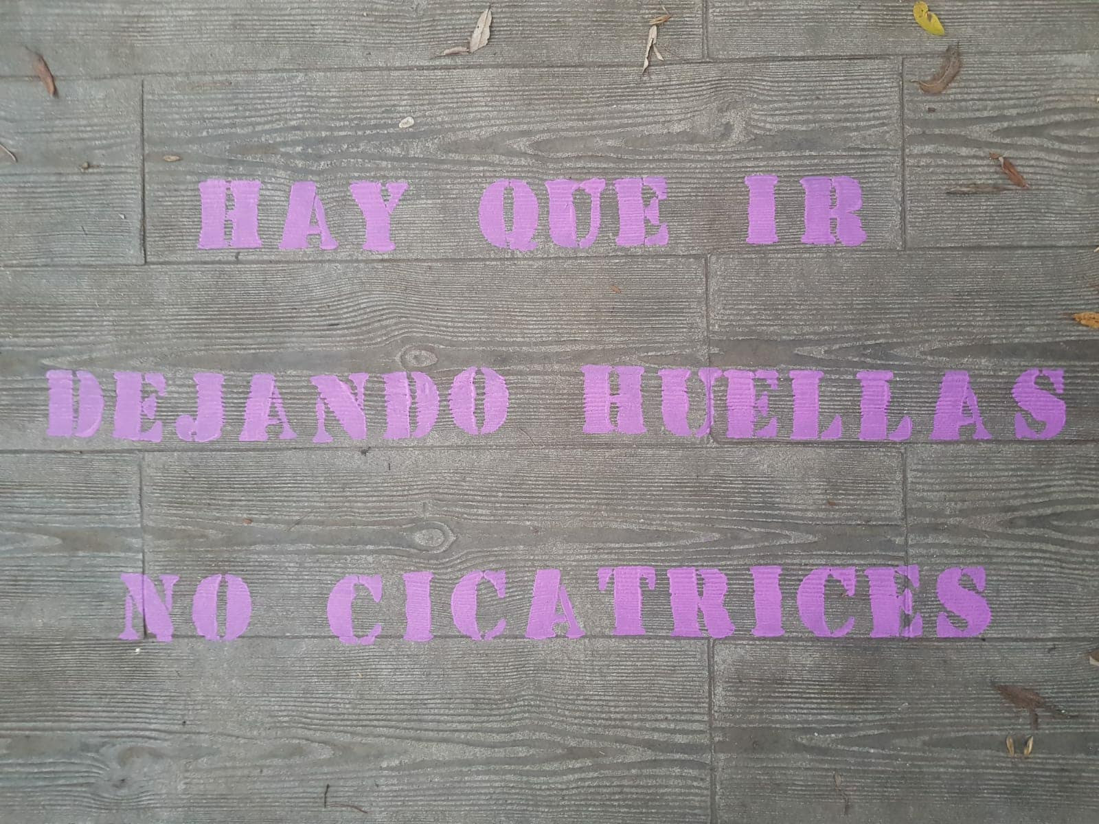 Fotos: Ciñera se llena de frases contra la violencia de género |  