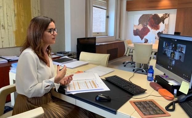 La Junta traslada su apoyo a los autónomos mendiante una reunión telemática