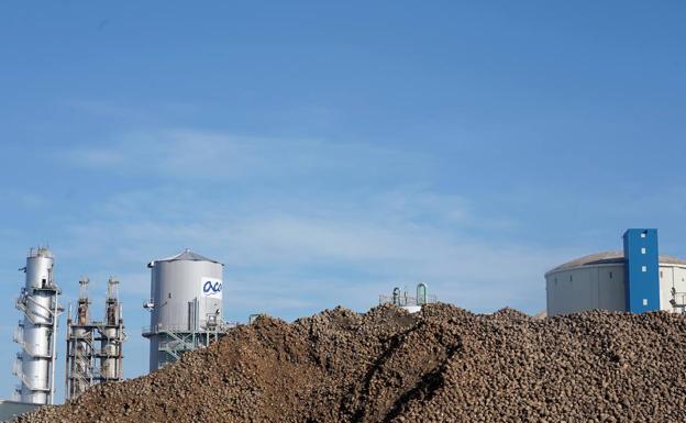 La campaña remolachera avanza «a buen ritmo» y la fábrica de La Bañeza aún espera para iniciar su actividad