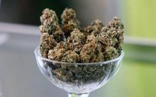 El cannabis medicinal deja de ser droga peligrosa para la ONU