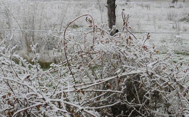 Agroseguro cierra noviembre con el 90% de las indemnizaciones ya abonadas a los agricultores y ganaderos leoneses