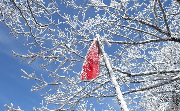 Aviso amarillo por vientos de hasta 80 kilómetros por hora y nevadas de hasta 20 centímetros en la provincia leonesa