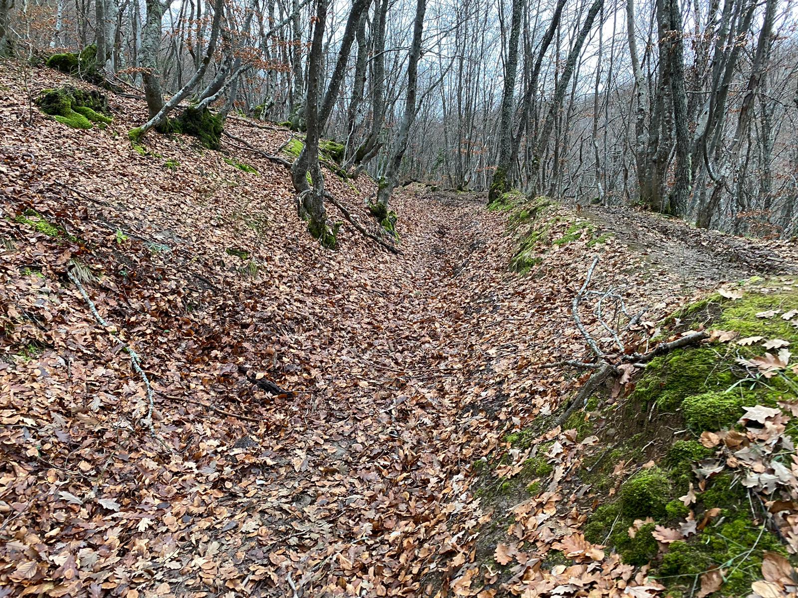 De ruta por León: el faedo de Orzonaga