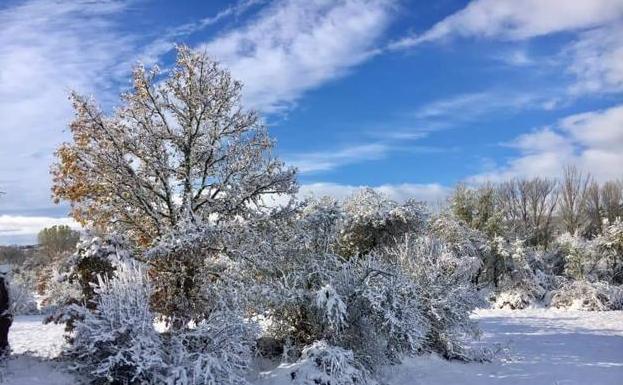 La nieve complica el tráfico en carreteras de la provincia de León