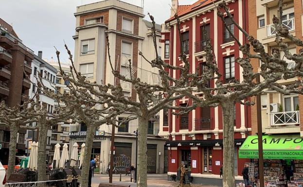 El Ayuntamiento de León efectúa trabajos de poda en el arbolado de 138 calles