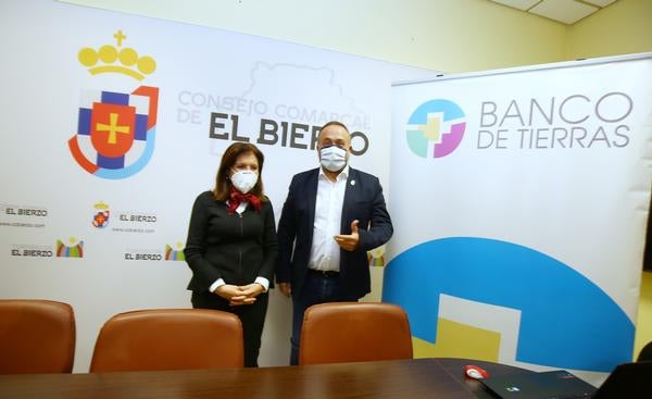 La DO Bierzo prevé una caída del 15% en las ventas al término del ejercicio debido al cierre de la hostelería