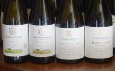 James Suckling sitúa entre los diez mejores vinos el godello de Casar de Burbia