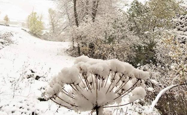 Descenso de las temperaturas, con ocho provincias en riesgo por nieve, entre ellas León