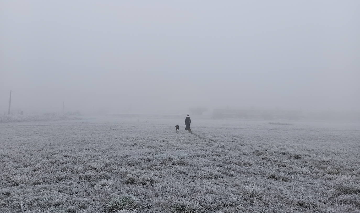 Intensa helada en El Bierzo