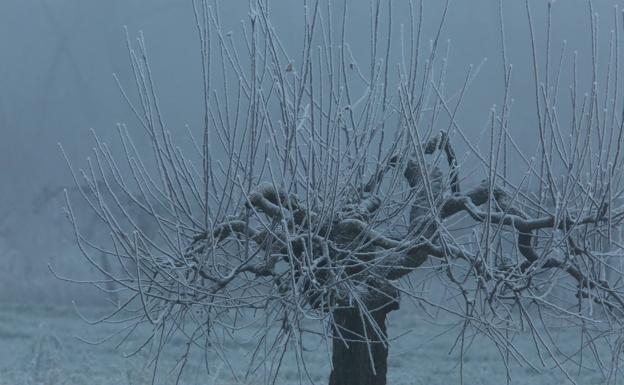 La borrasca Bella llega este domingo a León con previsión de hasta 15 centímetros de nieve en la montaña