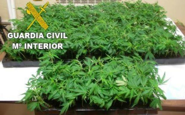 Cuatro personas detenidas en La Bañeza al desarticular un punto de venta de cocaína y marihuana