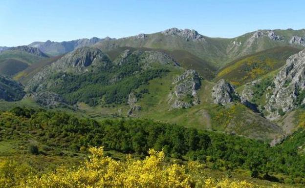 Castilla y León recibirá 21 millones para depuración y 128 para restauración de ecosistemas del Plan de Recuperación