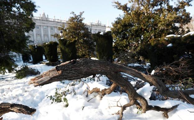 El Gobierno decidirá si Madrid es zona catastrófica cuando evalúe los daños