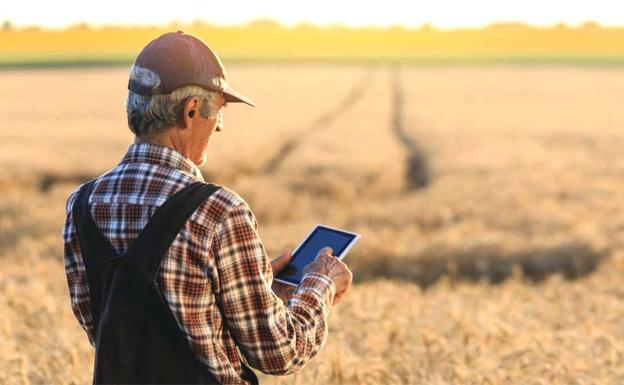 El Gobierno central busca proyectos para extender la banda ancha y la cobertura 5G en las zonas rurales