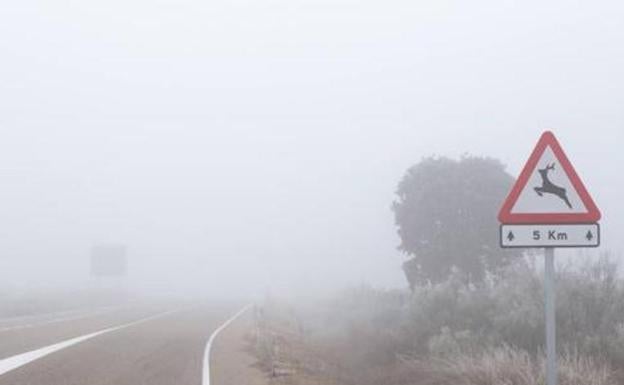 Así está condicionando la niebla al tráfico en tramos de las vías principales de Castilla y León