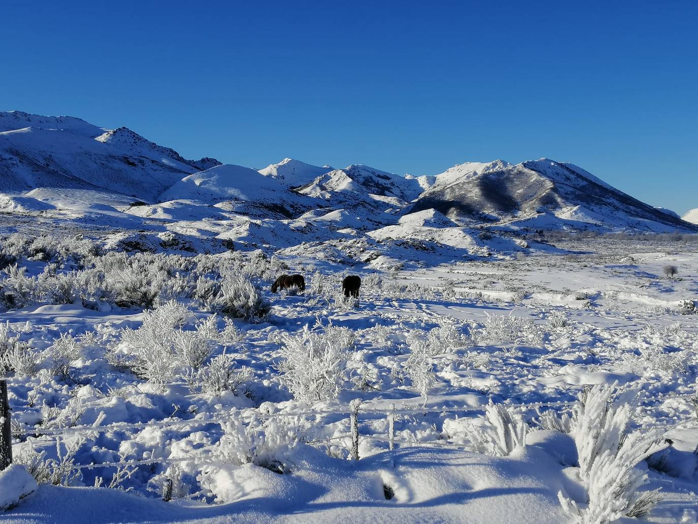 El paraje de Prado Veneiro vive bajo el frío y el hielo