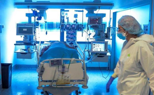 León mantiene su peligrosa tendencia y suma otros 423 positivos y cuatro fallecidos en el último día