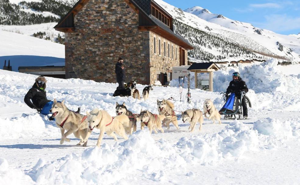 Vegarada, la capital del mushing