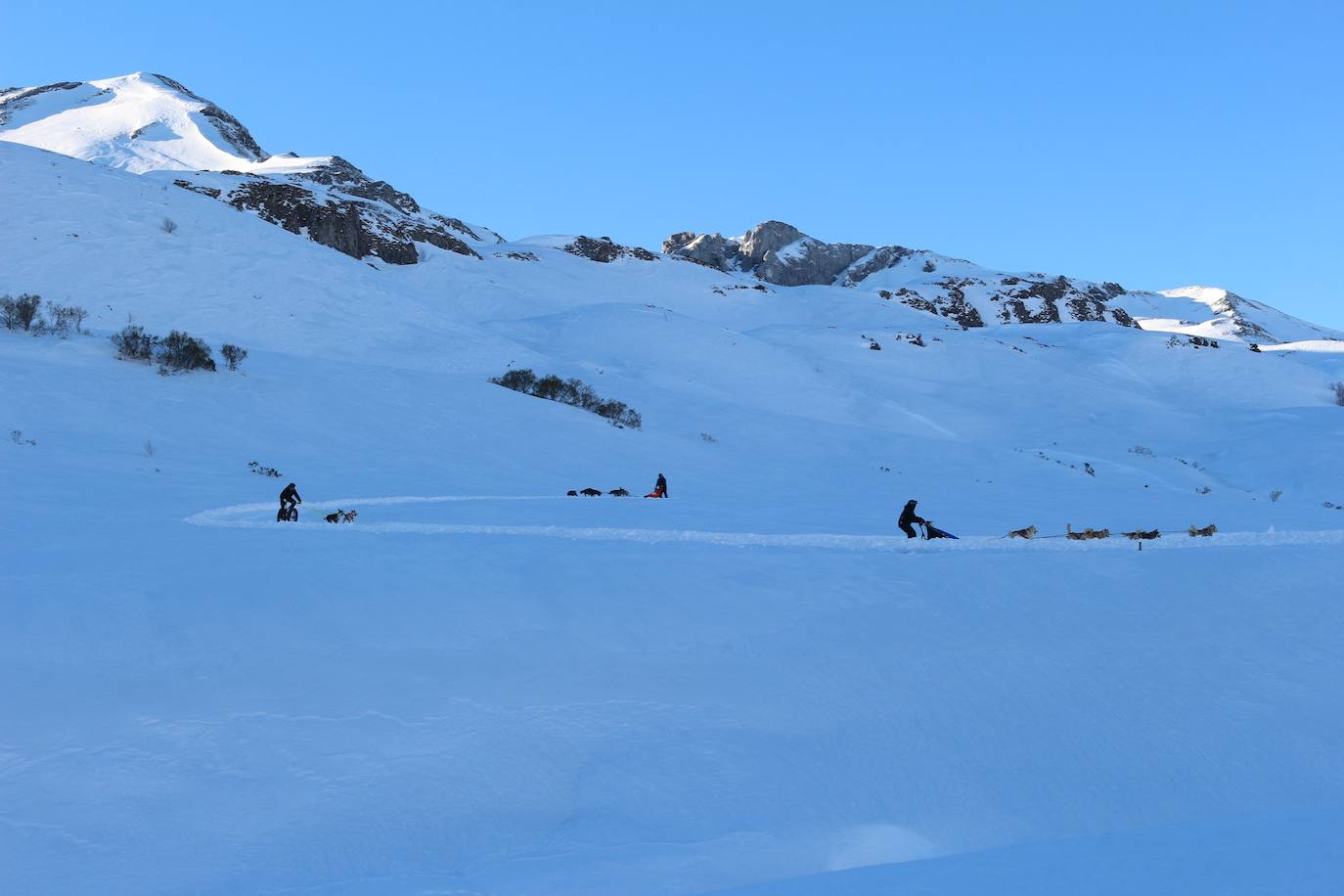 León se aficiona al mushing