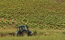 La DO Bierzo podrá acreditar la calidad de sus vinos tras obtener el certificado Enac