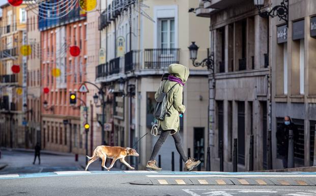 La eurozona cayó un 6,8% en 2020 tras contraerse en el cuarto trimestre