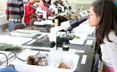 Ponferrada celebra el Día de las Mujeres y las niñas en la ciencia